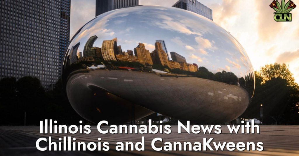 ຂ່າວສານ Illinois Cannabis ກັບ Chillinois ແລະ CannaKweens