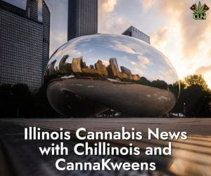 Illinois Cannabis News with Chillinois and CannaKweens