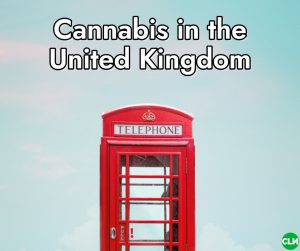 Is Cannabis Legal in the UK