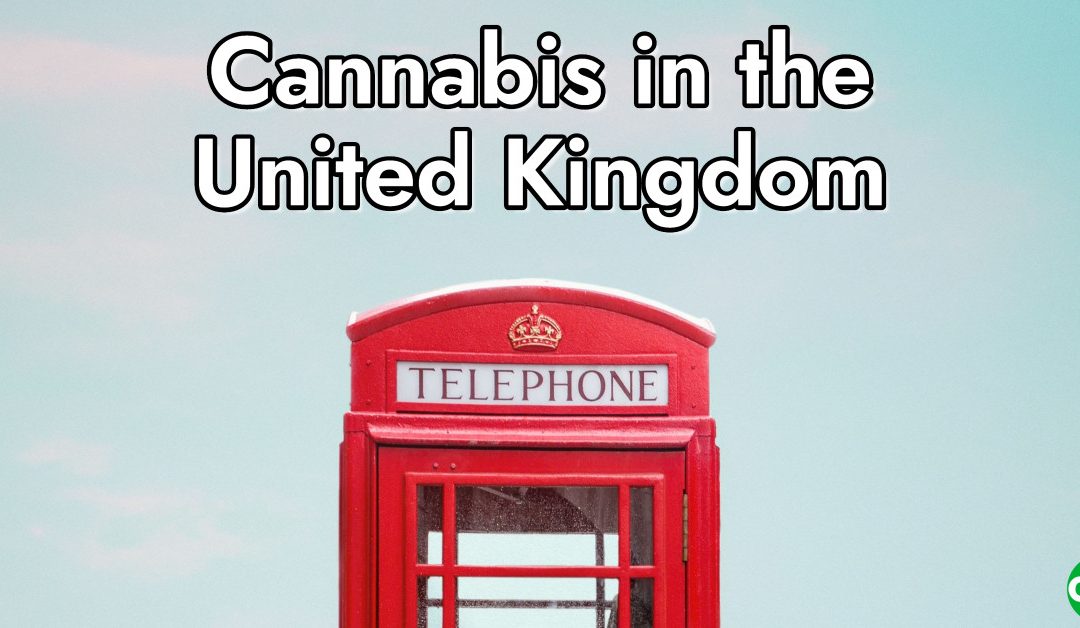 Is Cannabis Legal in the UK?
