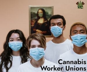 Cannabis Unions