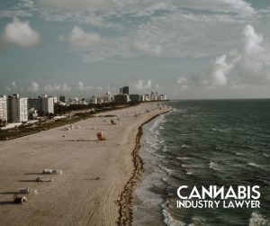 Florida weed laws