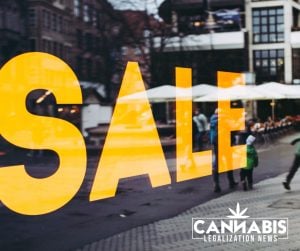 Buying a Cannabis Business