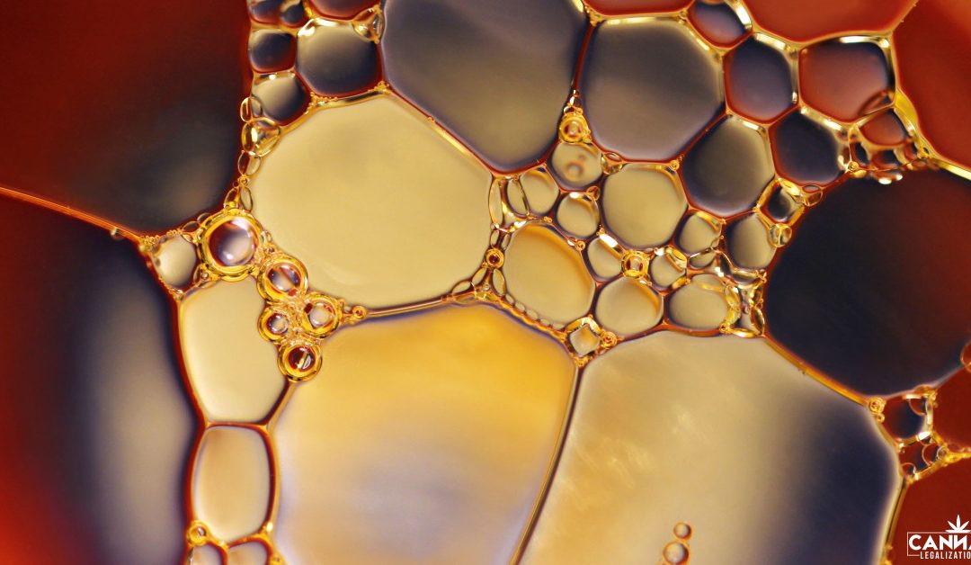 Cannabis Extraction and Distillation