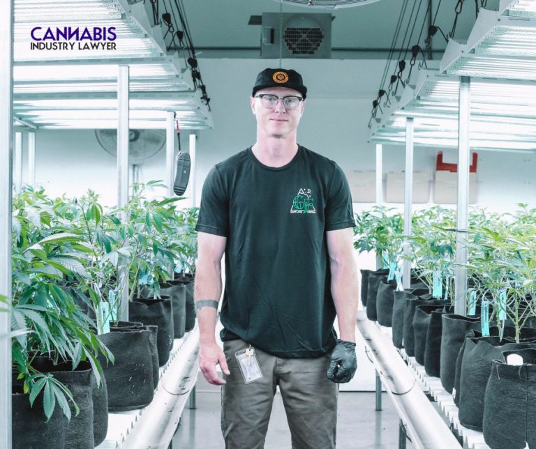 Growing Marijuana Legal in Michigan? Cannabis Industry Lawyer