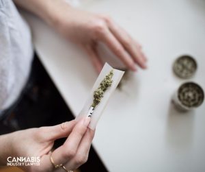 Montana Cannabis Laws