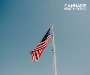 illinois cannabis litigation update-3