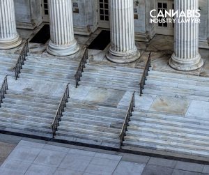 illinois cannabis litigation update