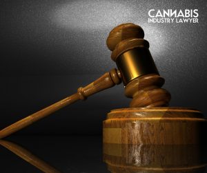 illinois cannabis litigation update.jpg