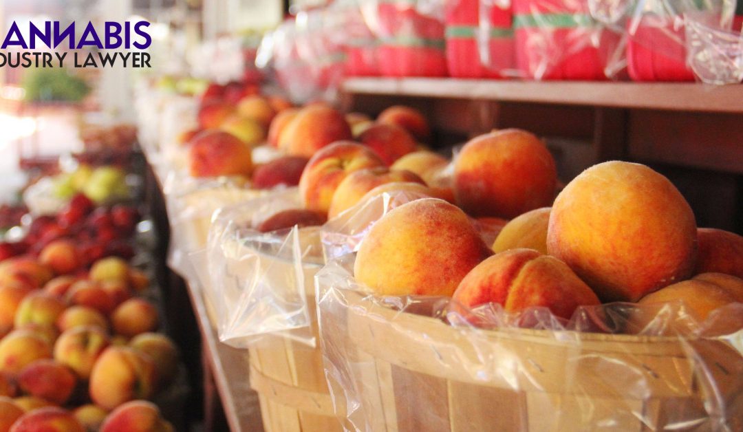 Gürcistan Tıbbi Kenevir Üretim Lisansı