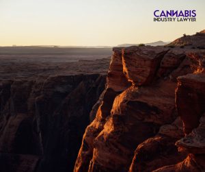 HOW TO GET CANNABIS LICENSE IN ARIZONA