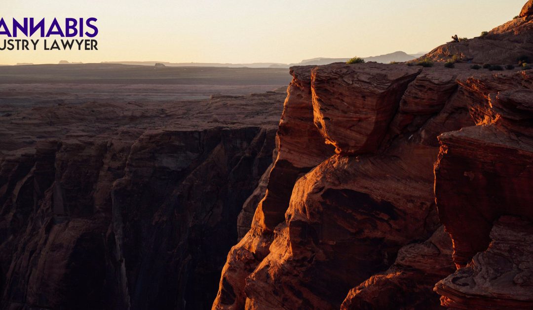 Arizona'da Esrar İşletme Lisansı Nasıl Alınır