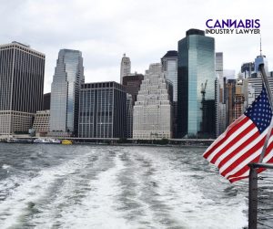 How to Get a Cannabis Business License in New Jersey