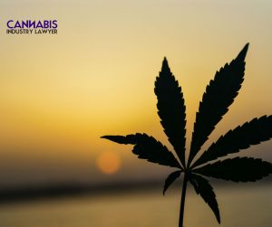 Michigan Marijuana License - How to get prequalified