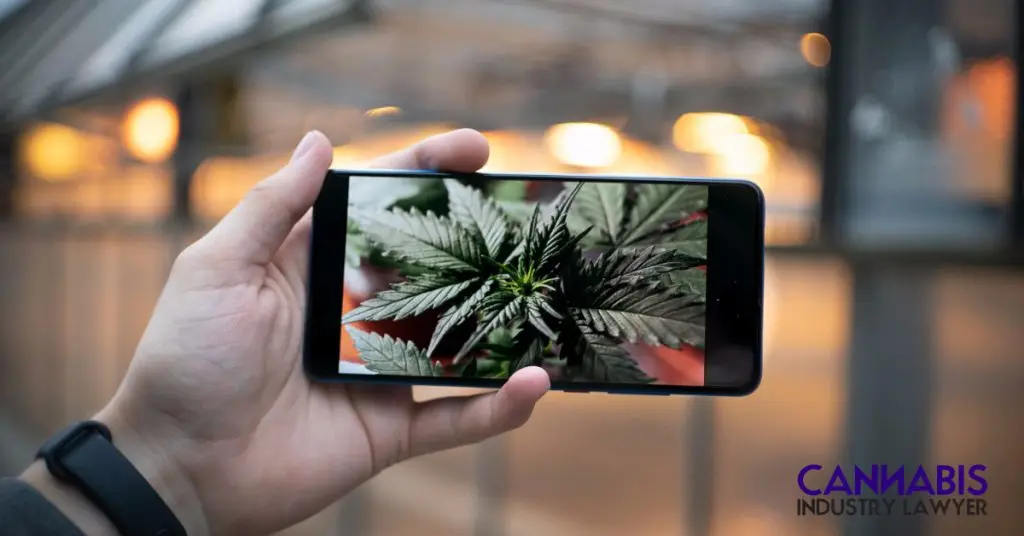 New Jersey Cannabis Microbusiness License