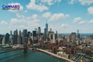 New York's Adult-Use Processor License