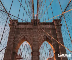 New York Cannabis Microbusiness License