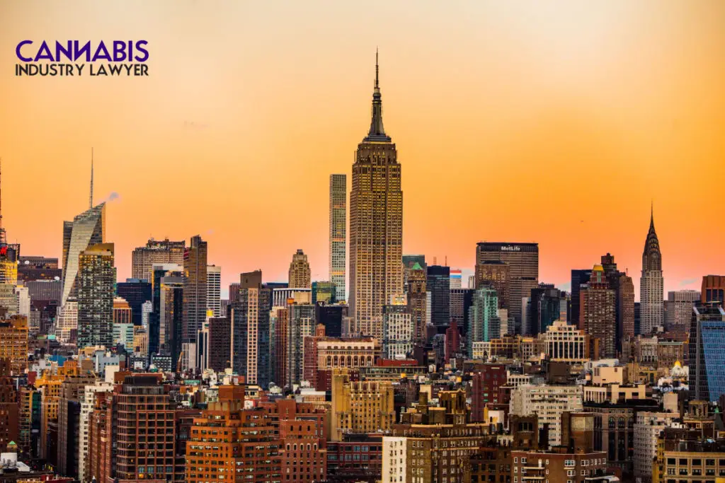 new york cannabis distributor license