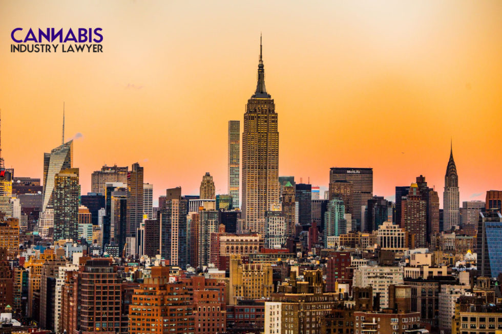 New York Cannabis Distributor License MAY 2022 UPDATE Definition