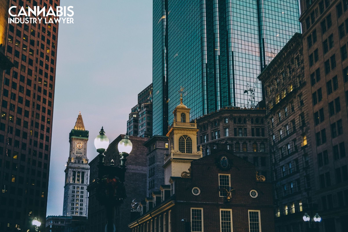 How to Apply for a Massachusetts Cannabis License