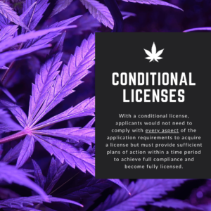 New Jersey Conditional Cannabis License