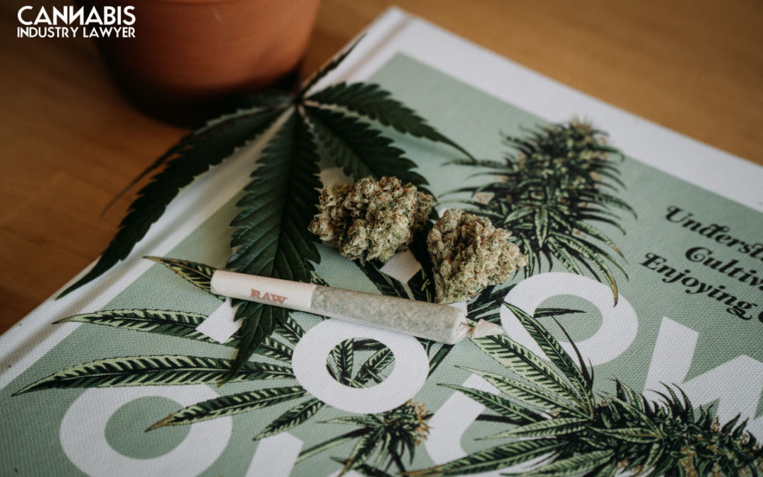 New Jersey Cannabis Distribütör Lisansı