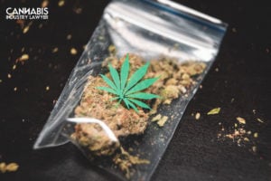 New Jersey Conditional Cannabis License