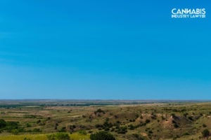 How to open a dispensary in new mexico