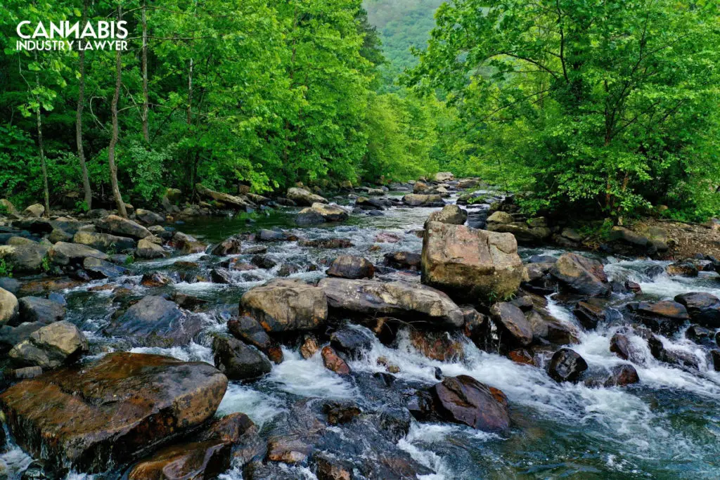 Virginia Marijuana Establishment License