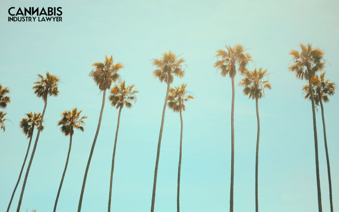 Ahoana ny fomba ahazoana fahazoan-dàlana ho an'ny rongony any California