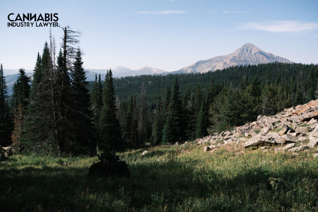 Montana Cannabis Licensing