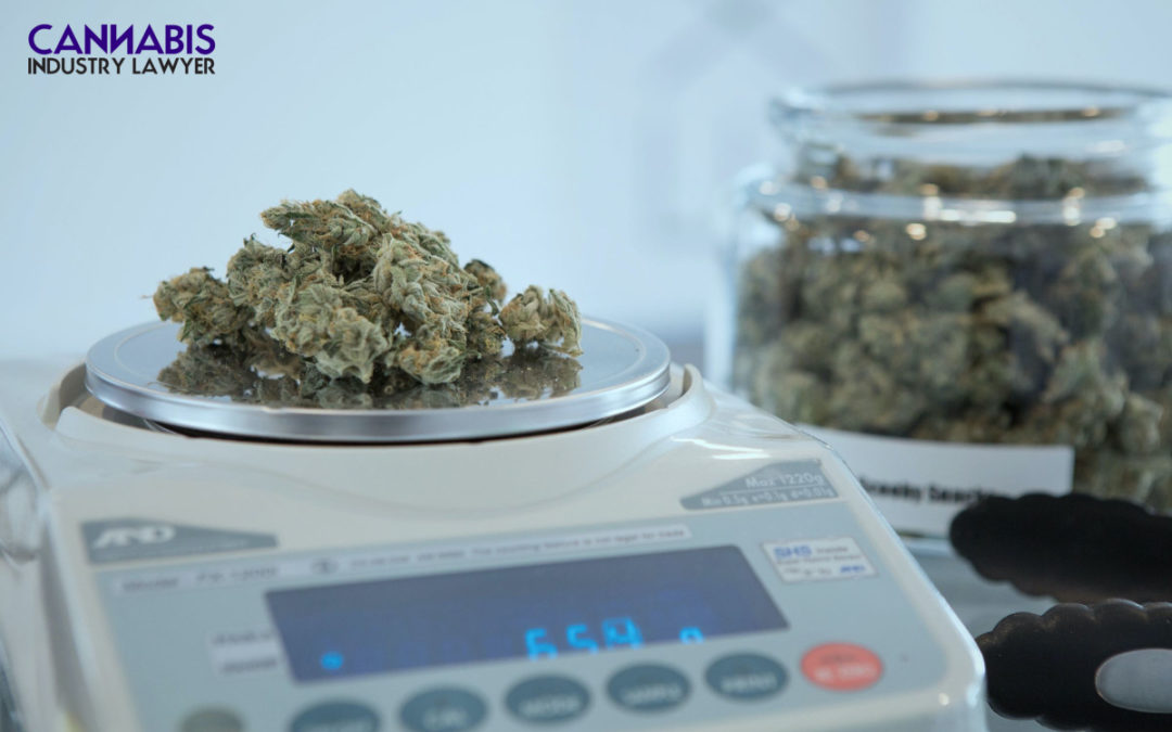 Laesense ea Setsi sa Teko ea Virginia Marijuana