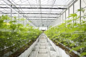 Alabama Integrated Facility License 2022