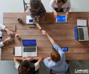 Cannabis Business Plan