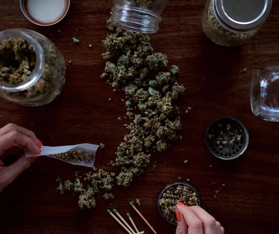 Detroit-Legacy-Cannabis-Licenses