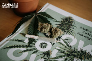 Liġi tal-kannabis 101