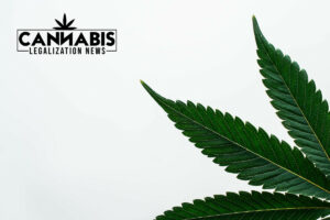 Cannabis delivery license