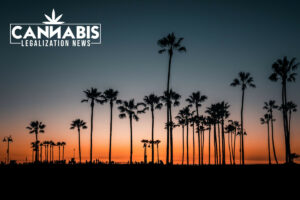 Cannabis delivery license