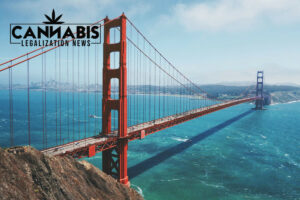 cannabis license in california