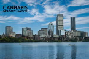 How to apply for a recreational cannabis dispensary license in Massachusetts