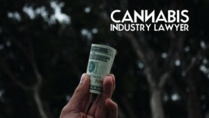 how to start a cannabis business