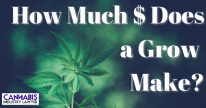 how much does a cannabis grow make