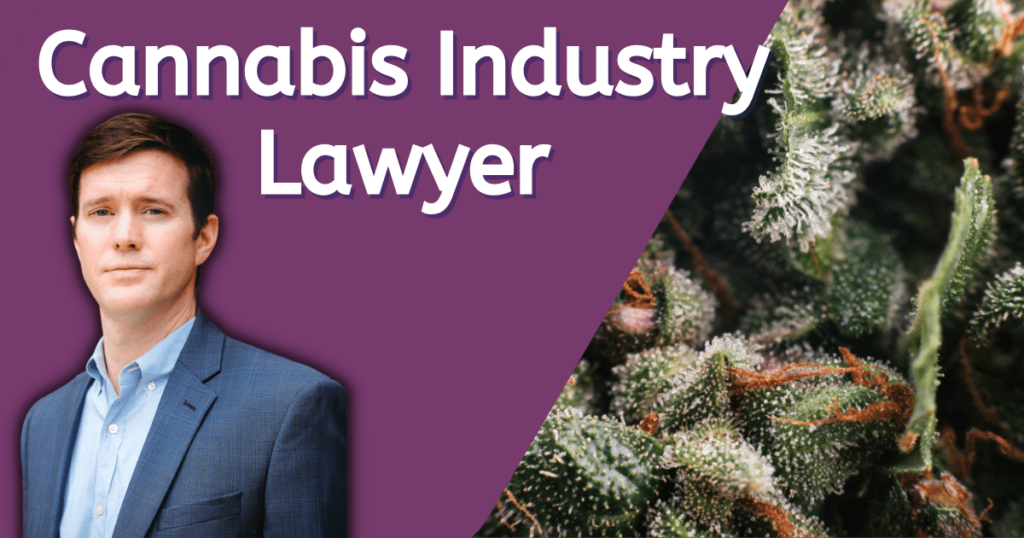 cannabis lawyer