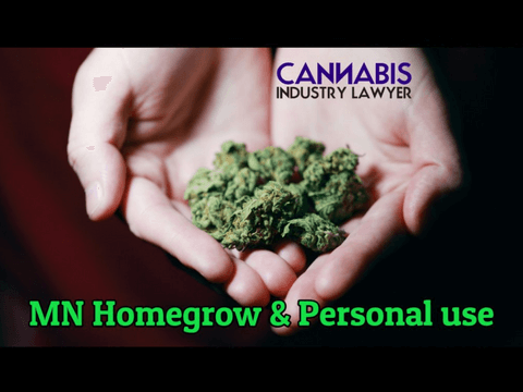 ADULT CANNABIS USE LAWS MINNESOTA