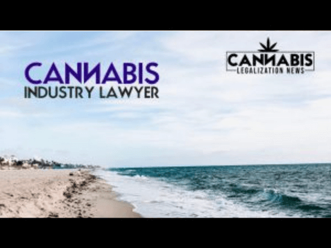FLORIDA CANNABIS LAWYER