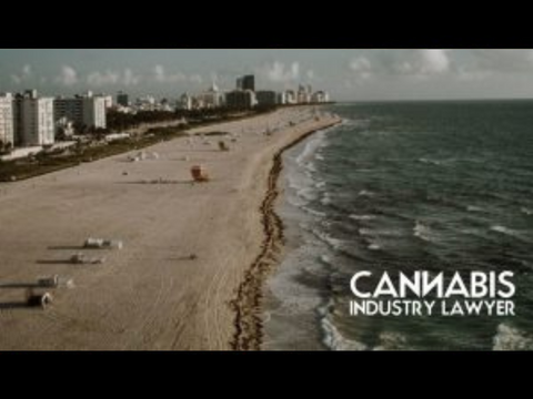 FLORIDA WEED LAWS FLORIGROWN V. DOH