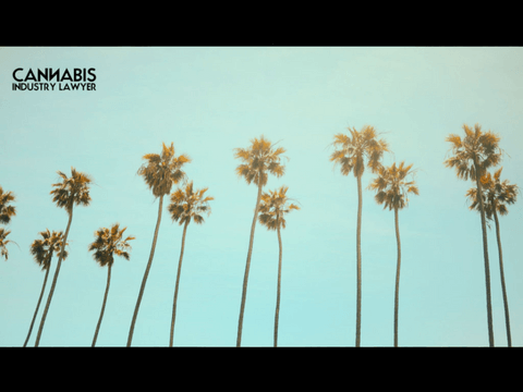 HOW TO GET A CANNABIS BUSINESS LICENSE IN CALIFORNIA