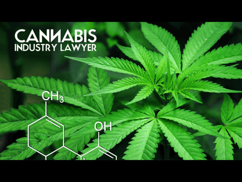 KENTUCKY MEDICAL MARIJUANA LAWS