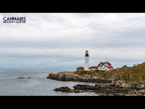MAINE MARIJUANA LICENSE HOW TO APPLY