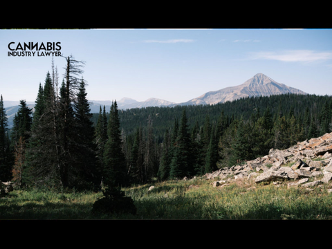 MONTANA ADULT-USE MARIJUANA LICENSING